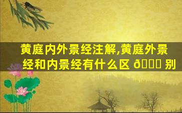 黄庭内外景经注解,黄庭外景经和内景经有什么区 🐕 别